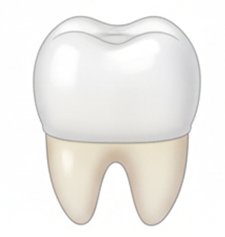 ジルコニアクラウン・アンレー